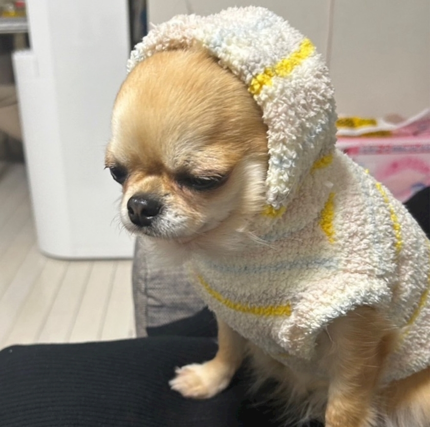 ユキ