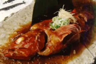 橘 あんな