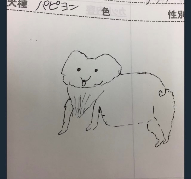 みらい