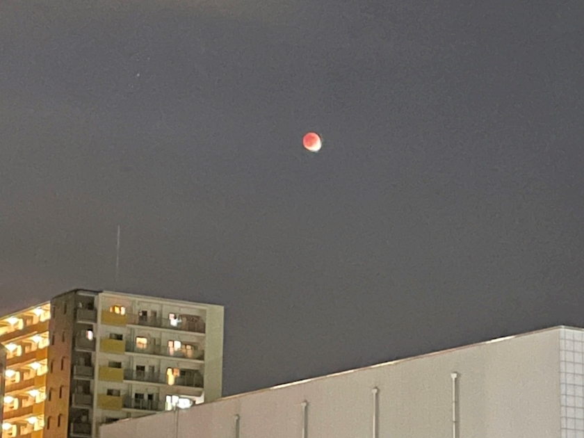 星野 大空