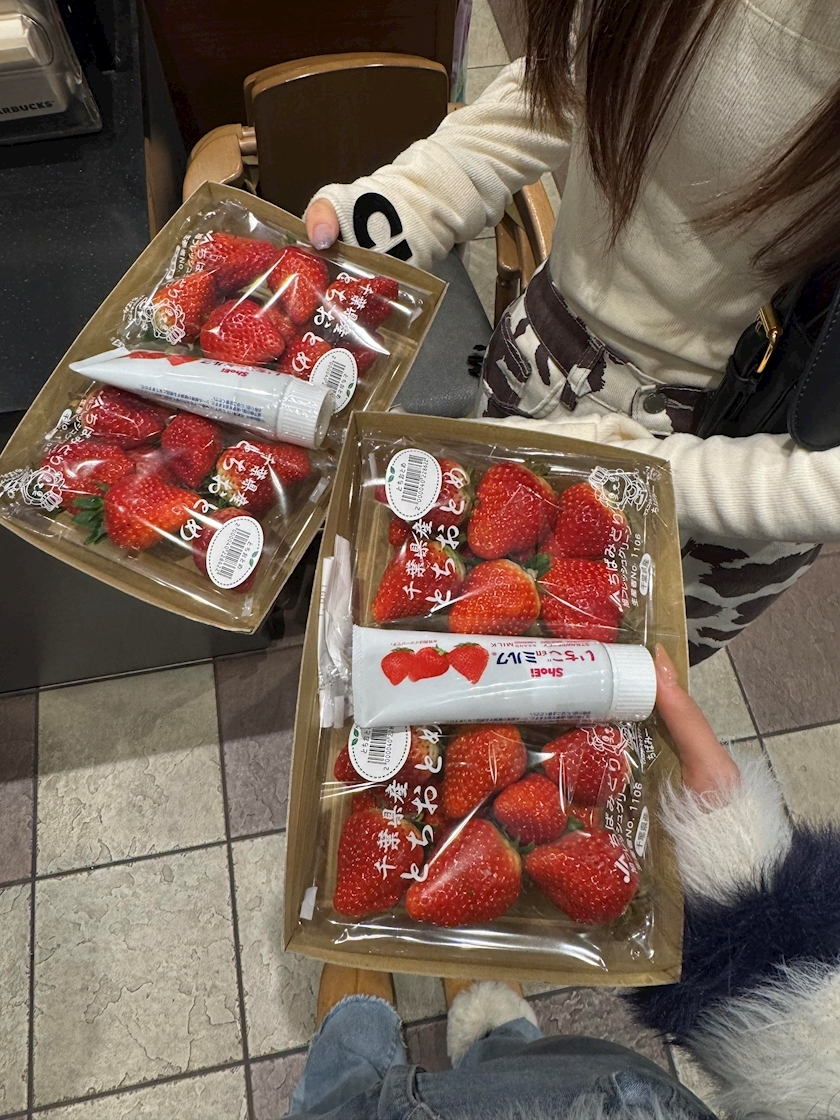 せいか