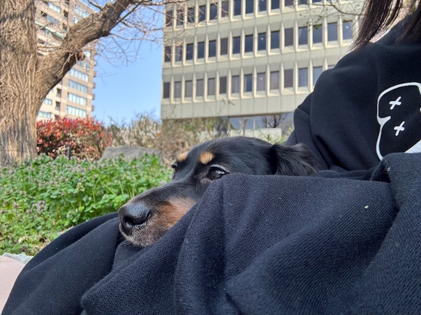 あーだこーだそら