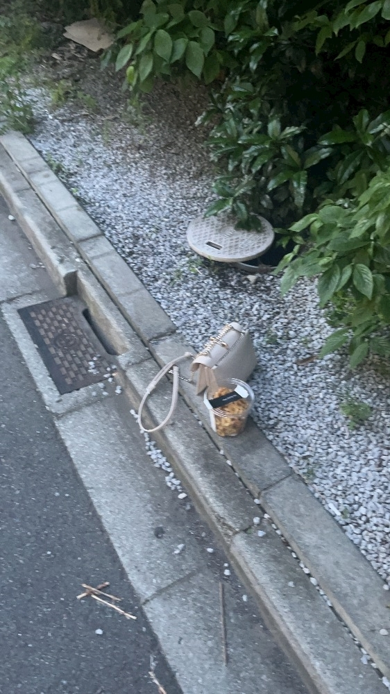 ひなた