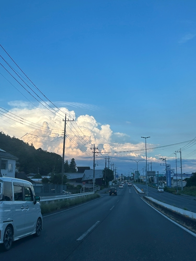 らん
