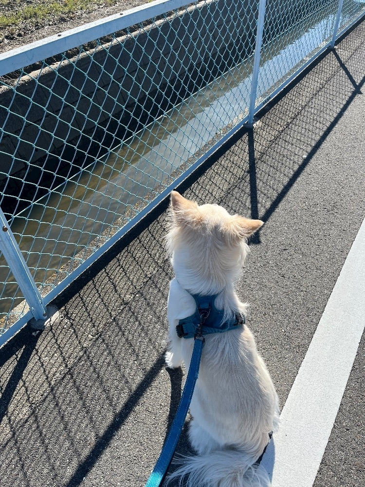京 さゆみ