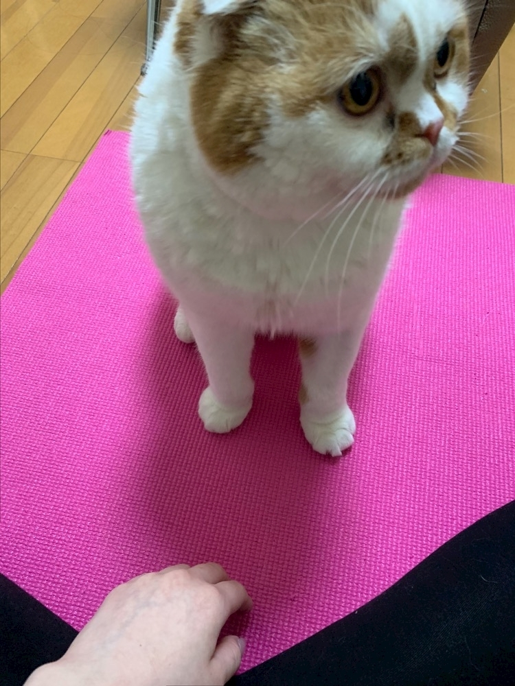 れみ