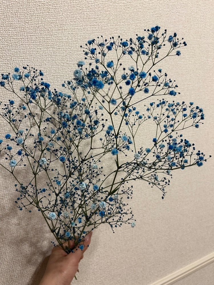 美月