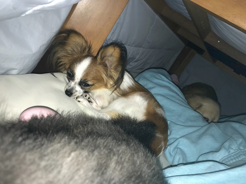 ティナ