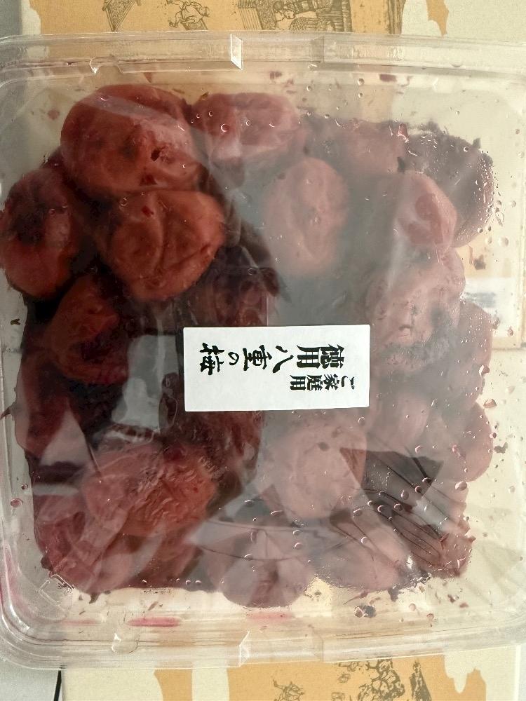 野本 明日香