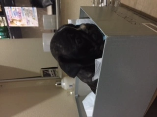妃 えりか