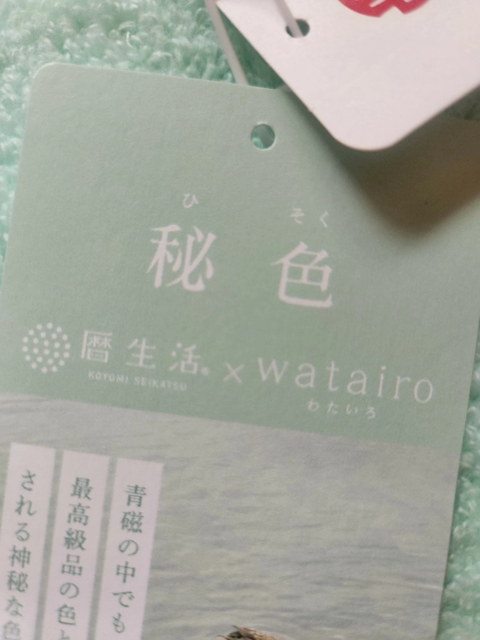 紫音