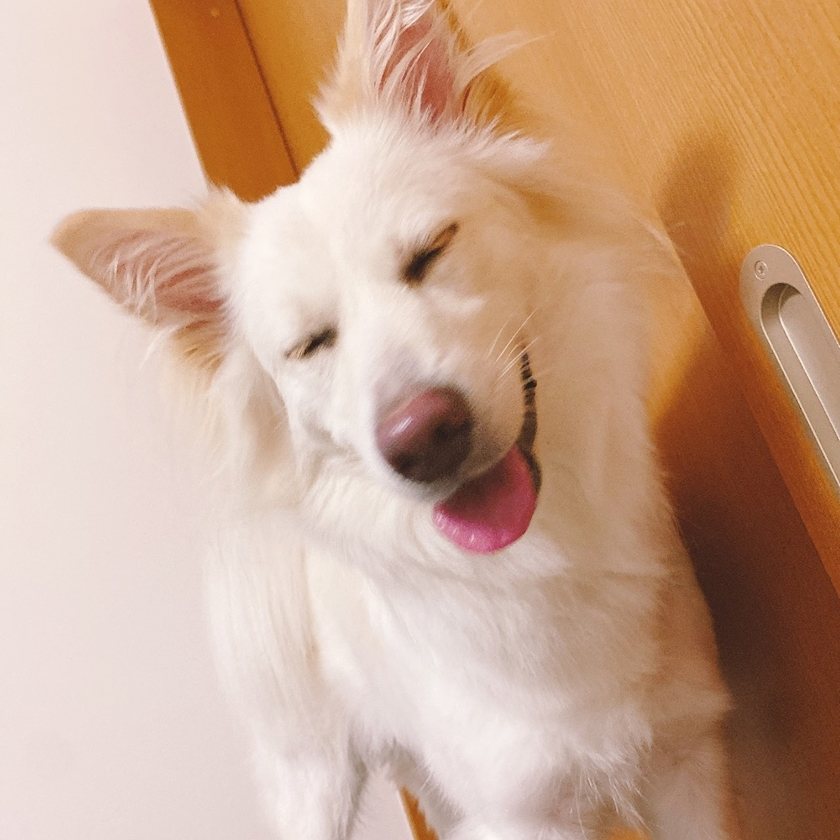 京 さゆみ