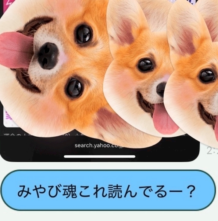 みやび