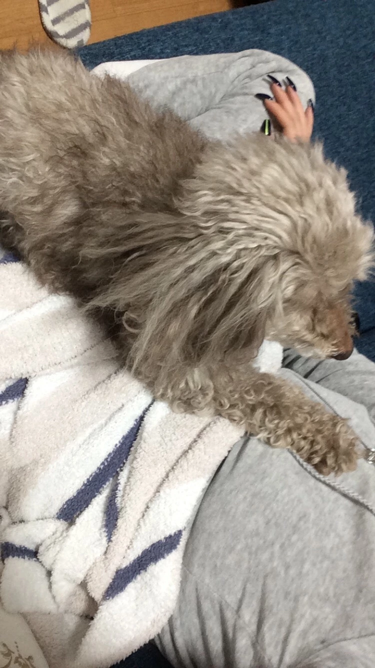 荒木 ナツミ
