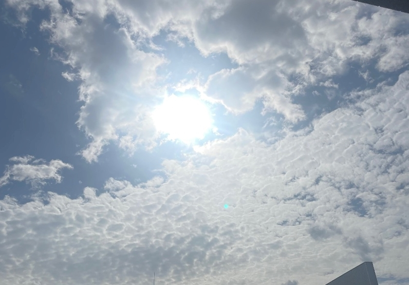 愛沢 あき