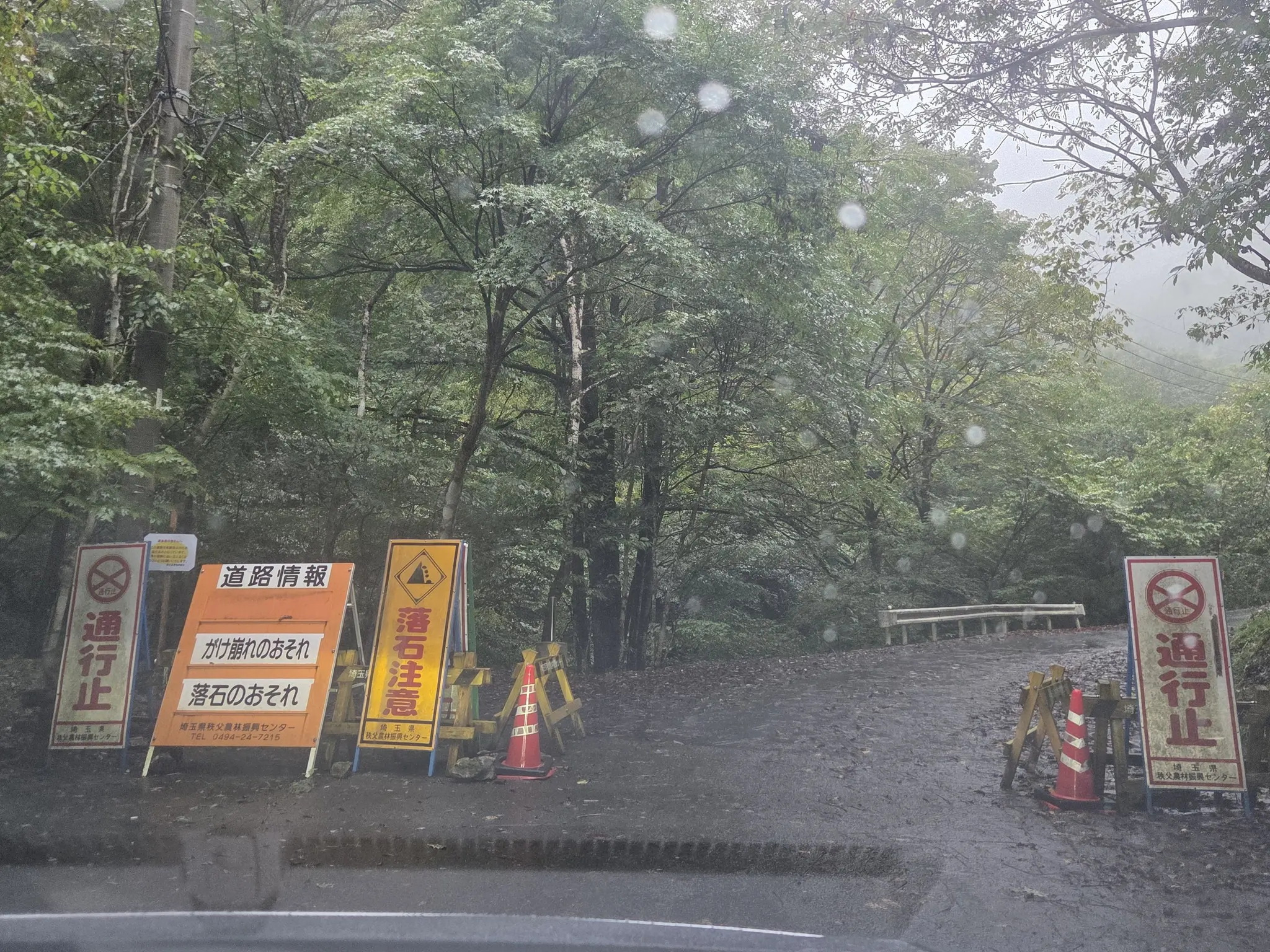 あおい