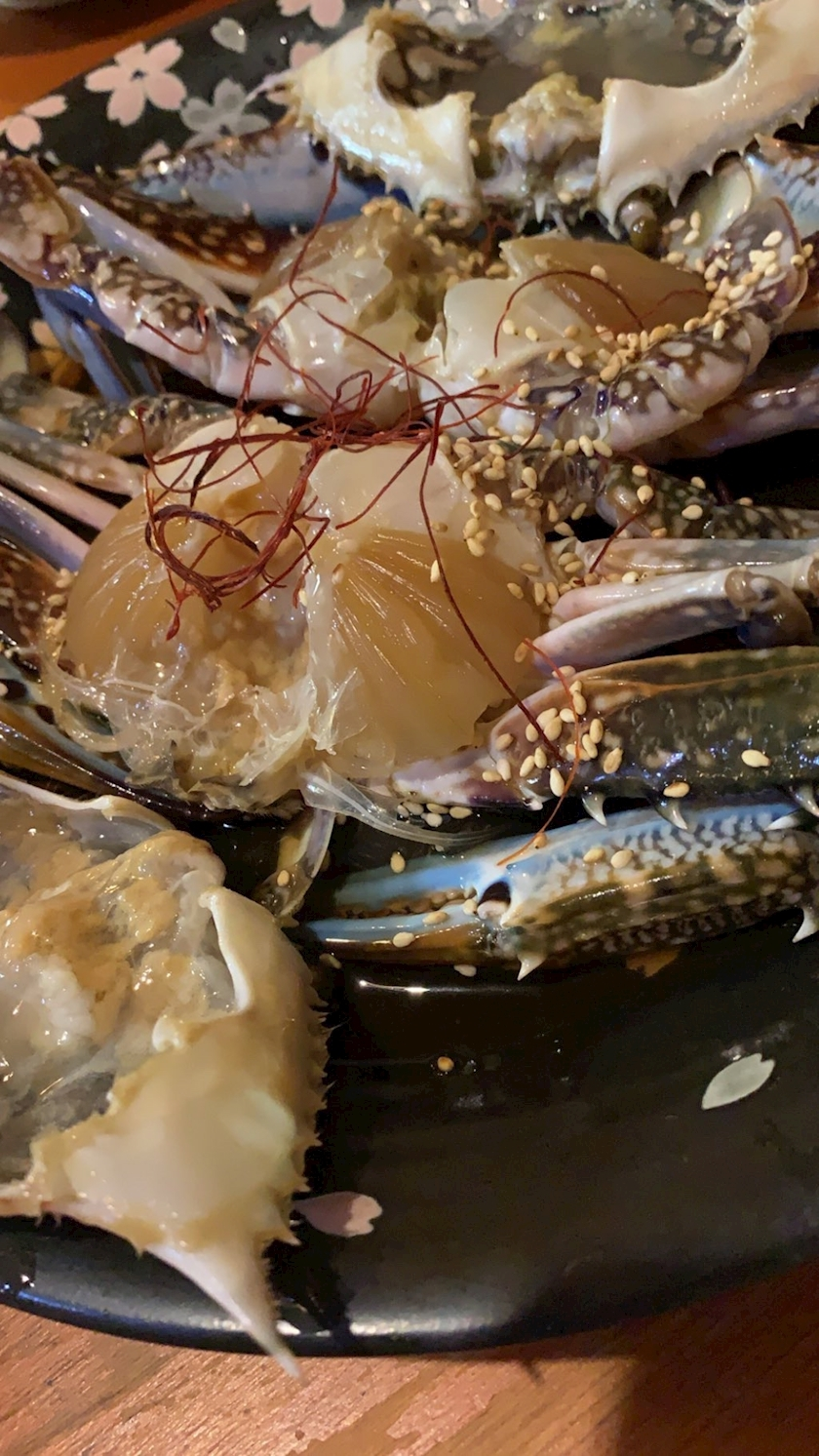 七星 舞冬