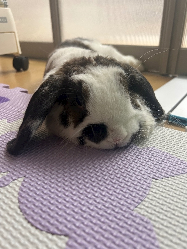 湊崎 さな