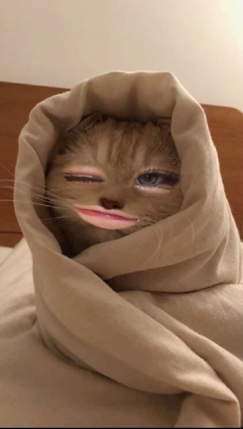 ひめち