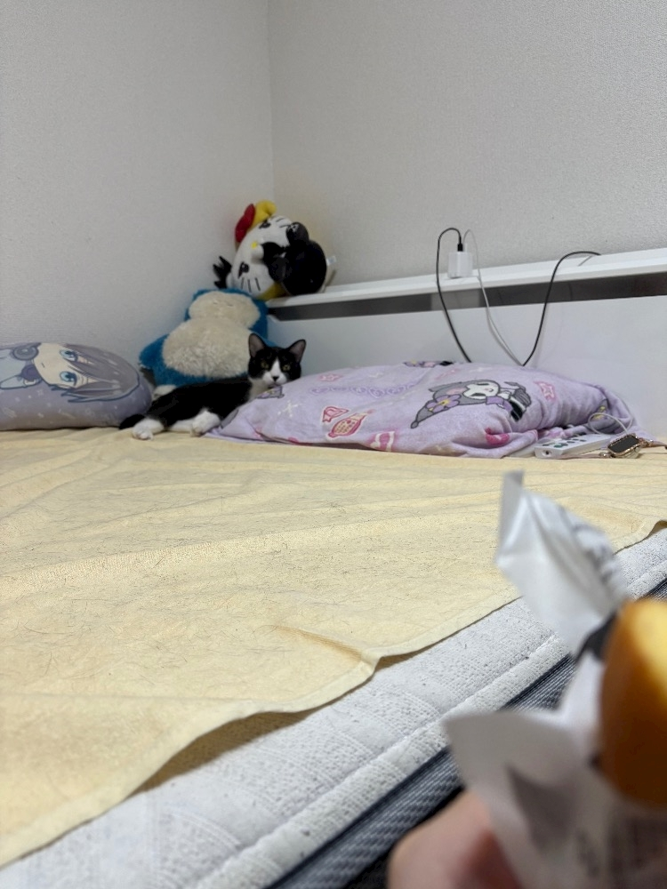 サキ