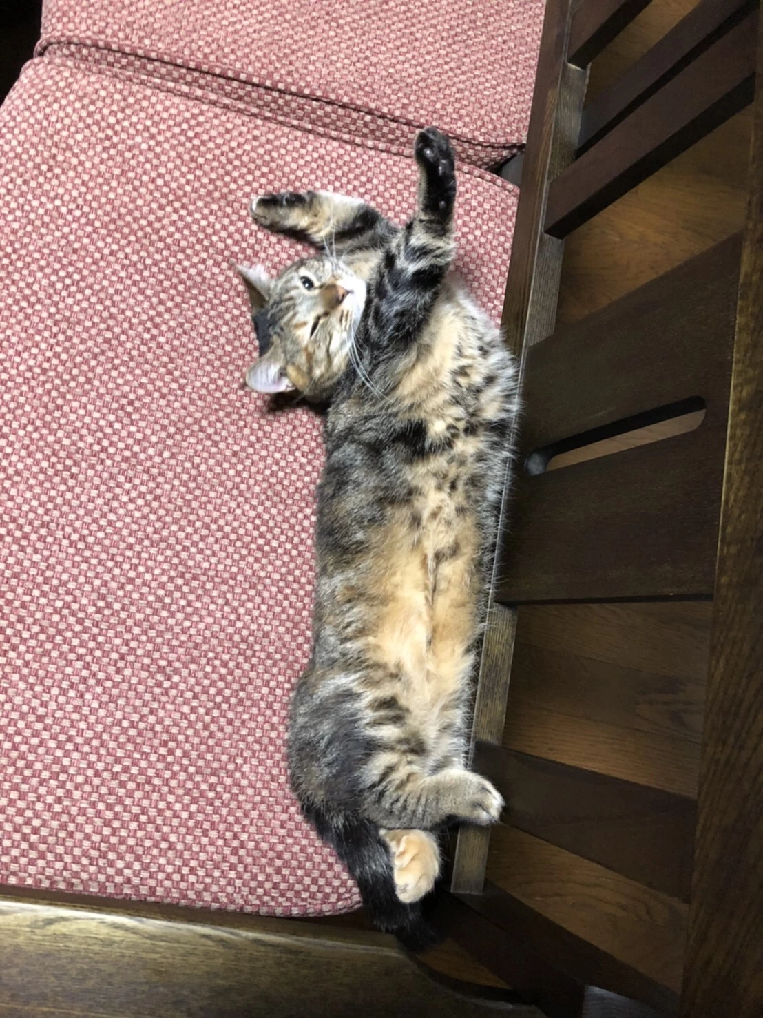 もも