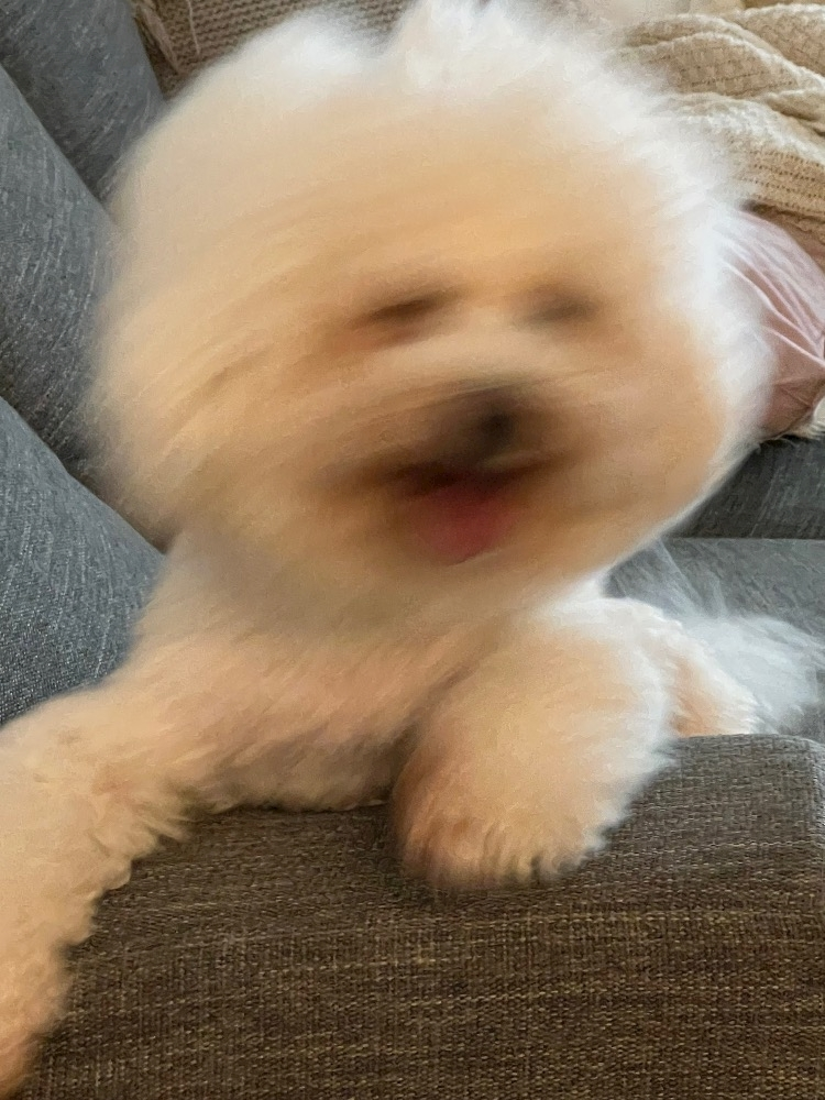 あこ