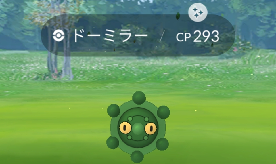 五条 椿