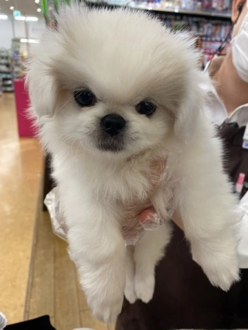 まみ