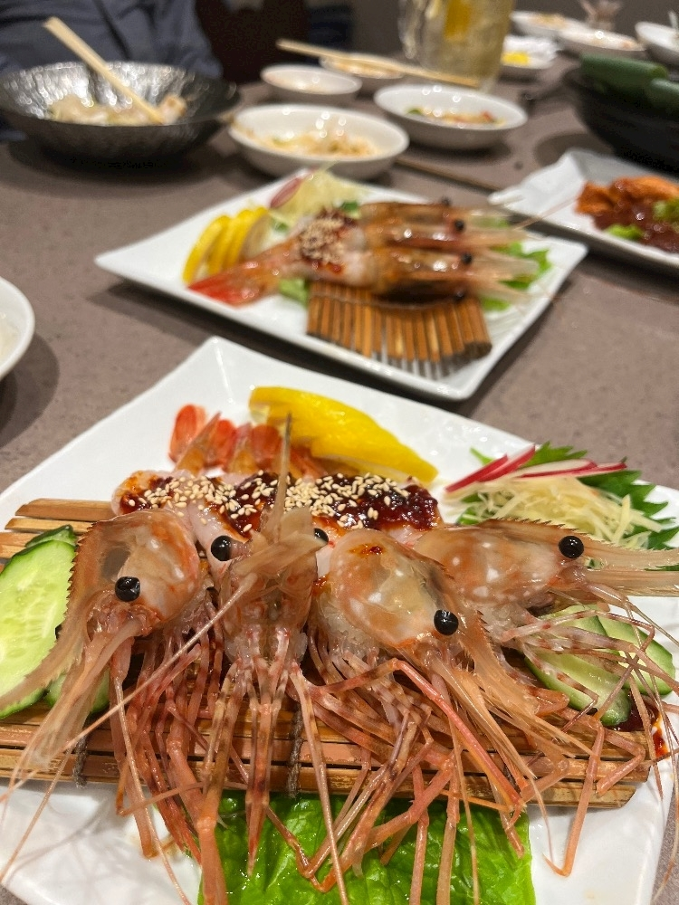 綾瀬 優