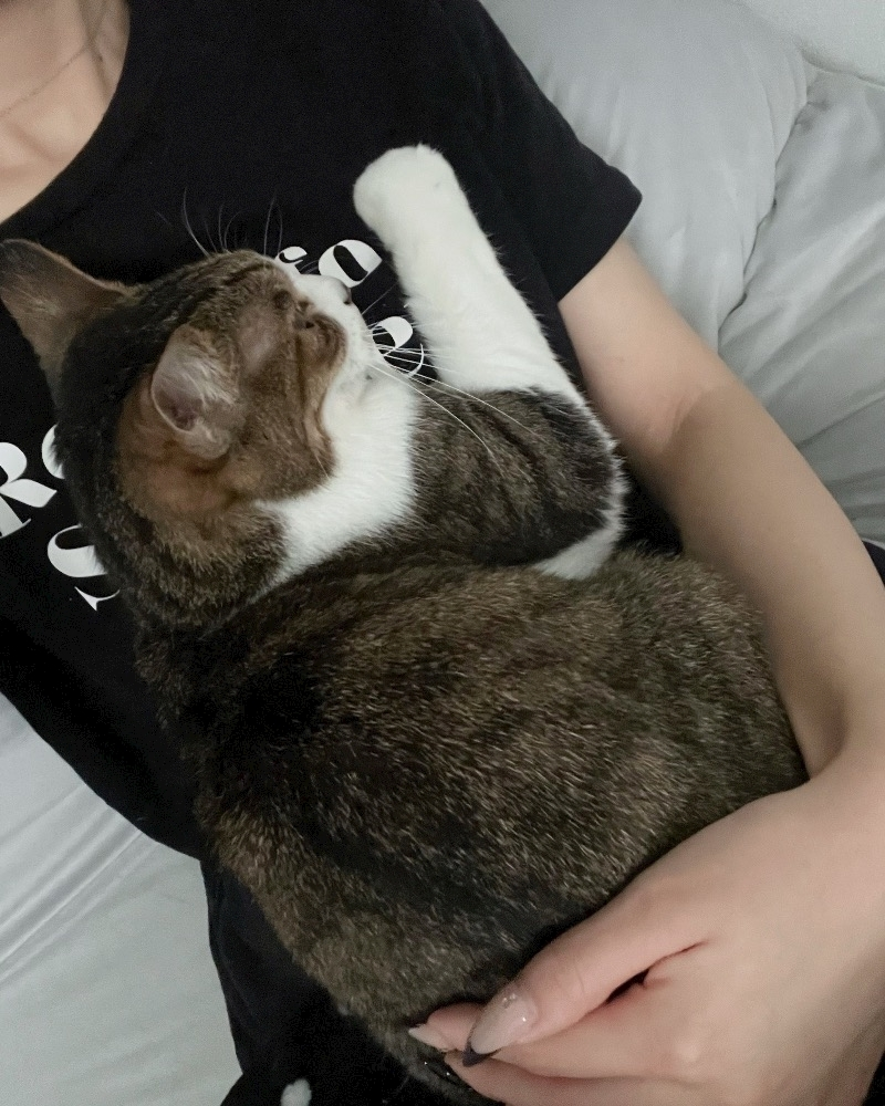 メイ