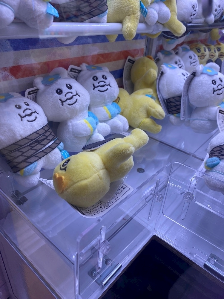 ふぃな
