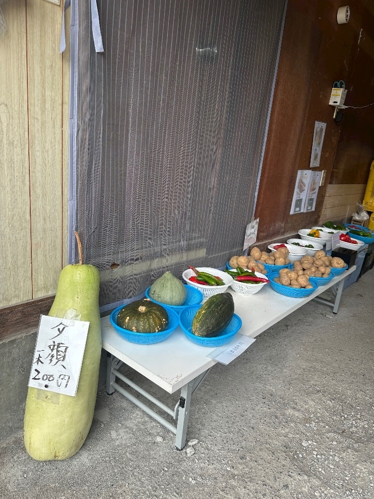 神崎 蘭