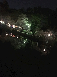 沙良 純