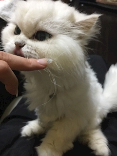 七海 結愛