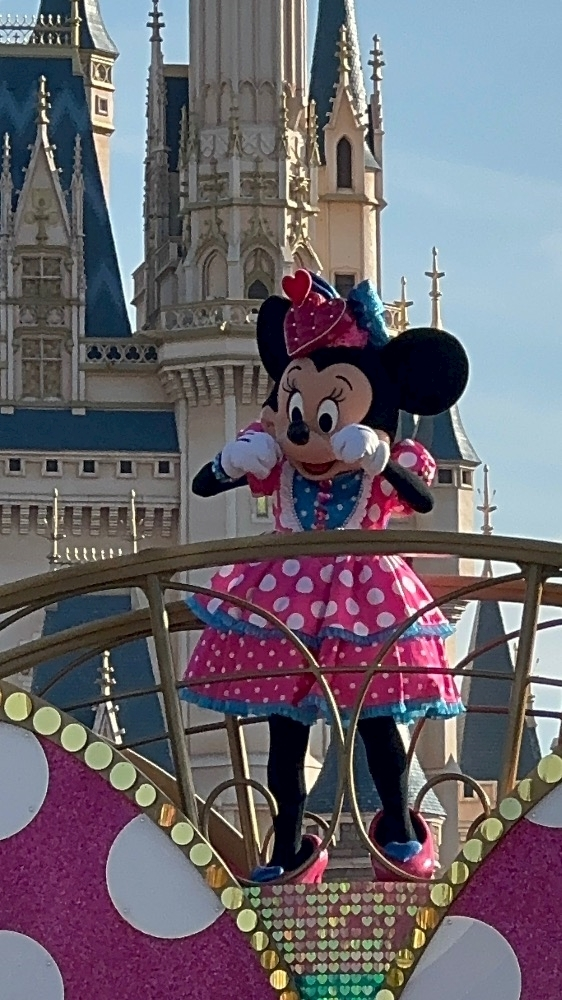 姫花