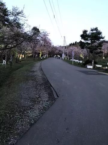 長瀬 純恋