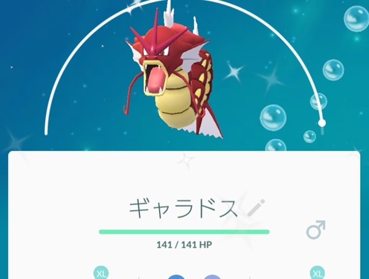 五条 椿