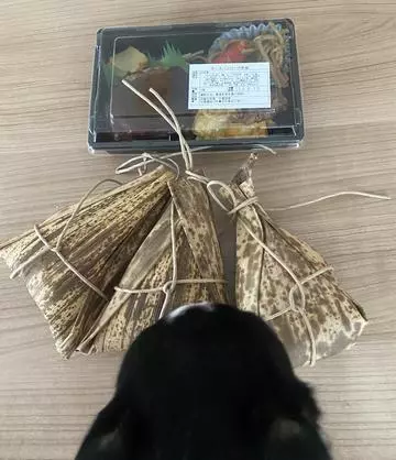 長瀬 純恋