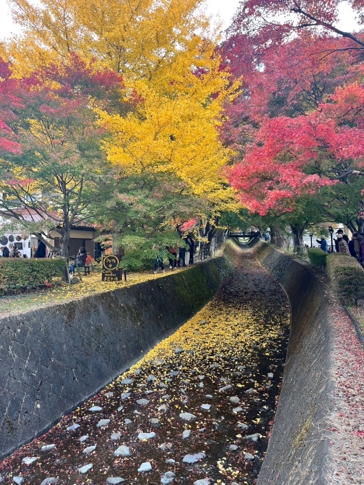 高槻 かえで