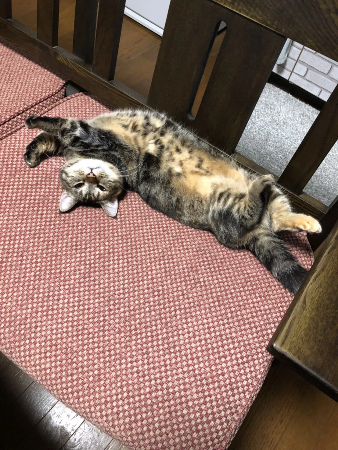 もも