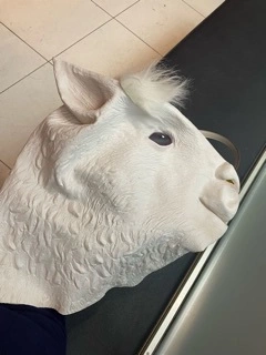 やよい