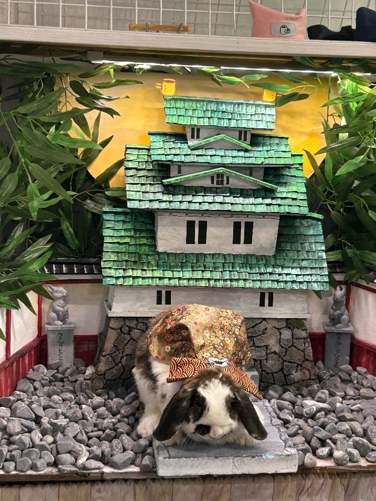 湊崎 さな