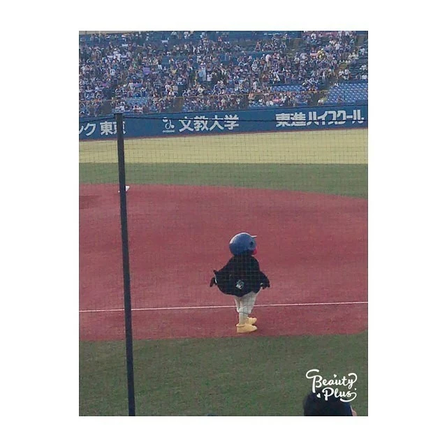 蓮