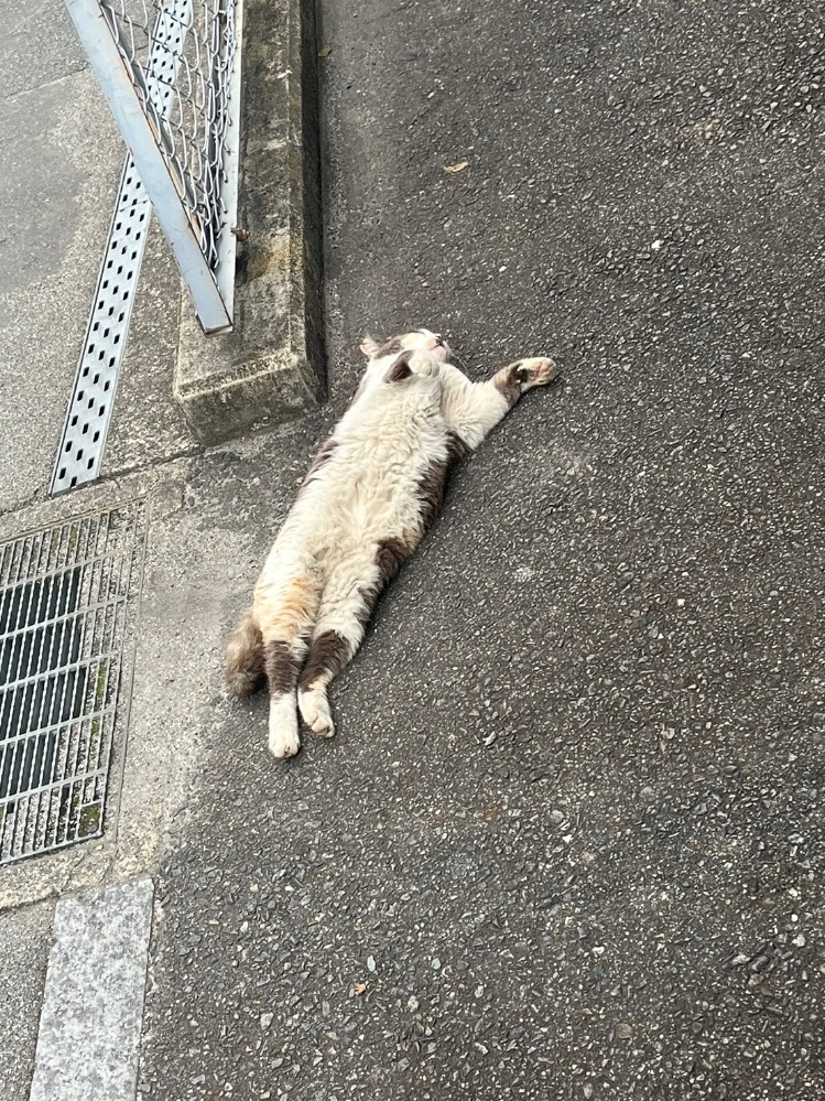 なつき