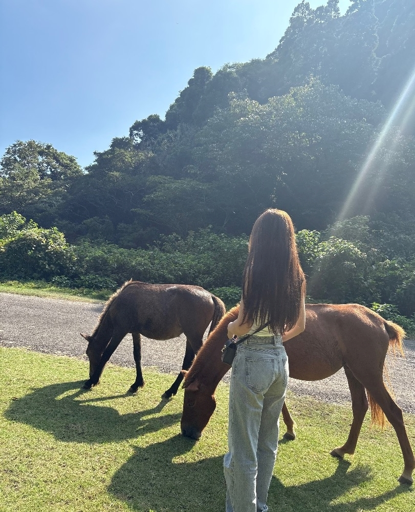 のぞみ