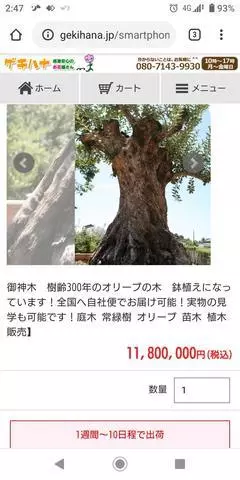 ひな