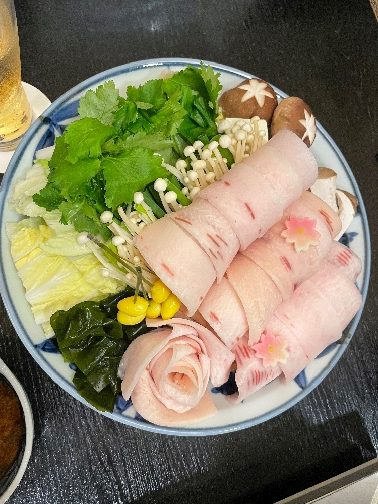 朝倉 しおり