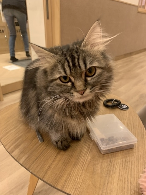 じゅり