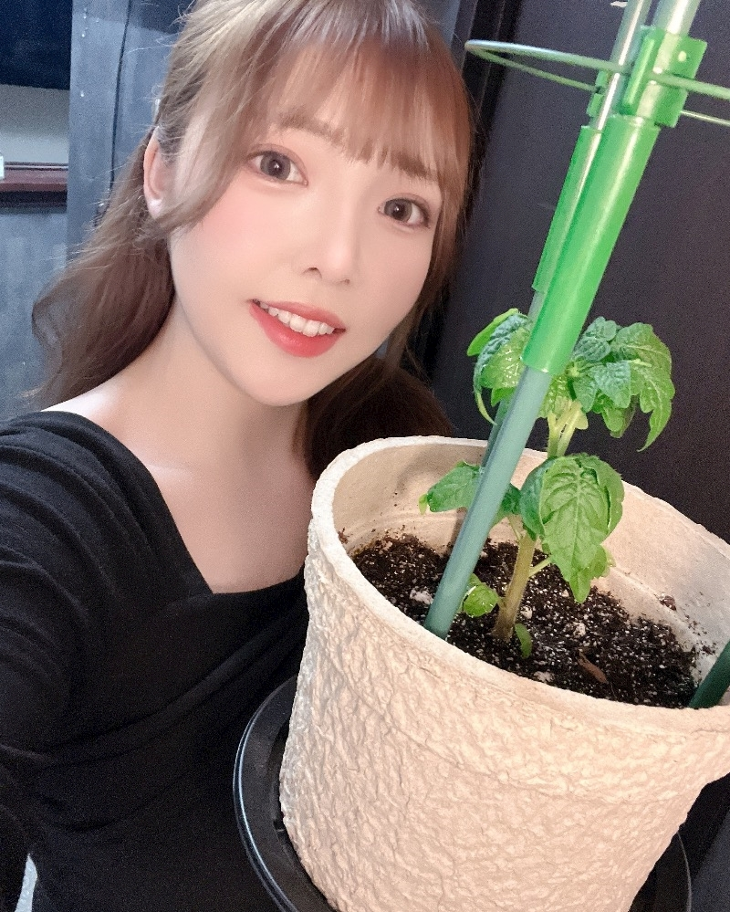 ひなた