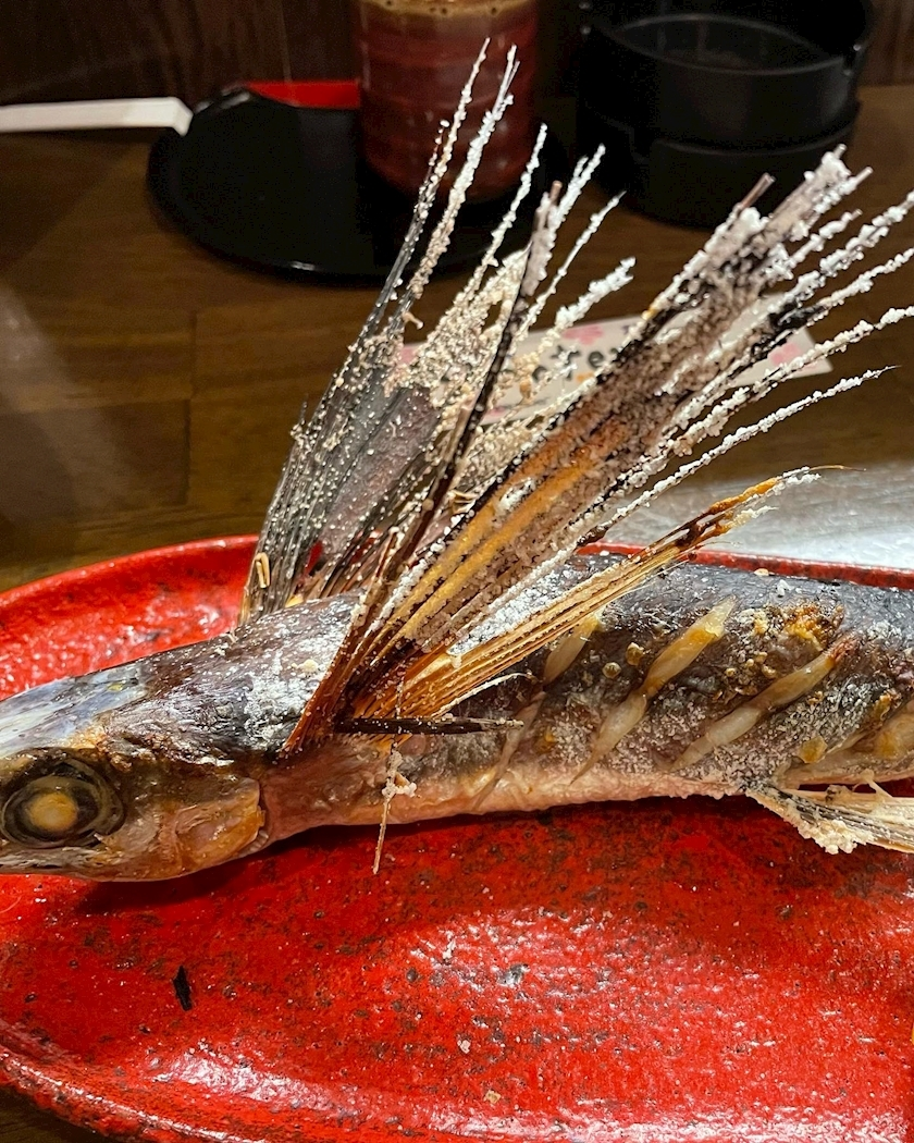 朝倉 しおり